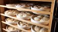 How to store pizza dough? The complete guide!